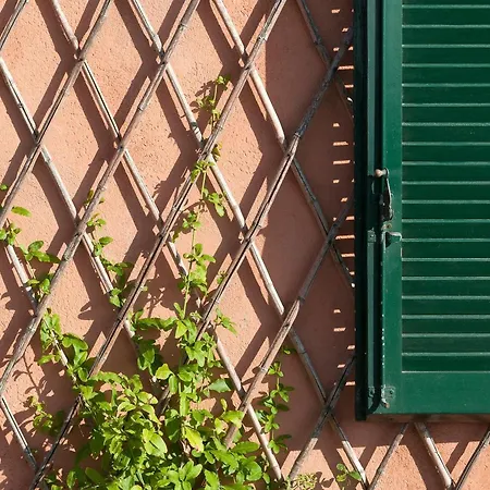Apartament Il Grifo - Cozy House, Wonderful View *