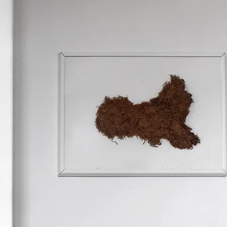 Il Grifo - Cozy House, Wonderful View