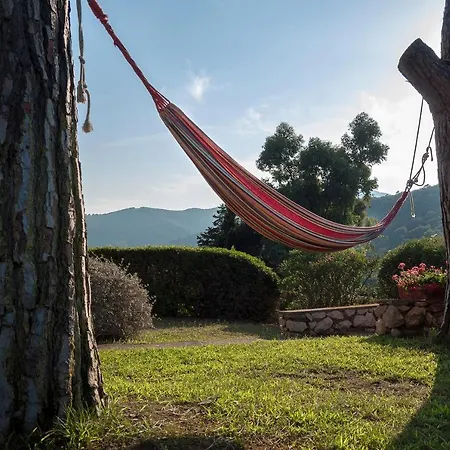 Il Grifo - Cozy House, Wonderful View