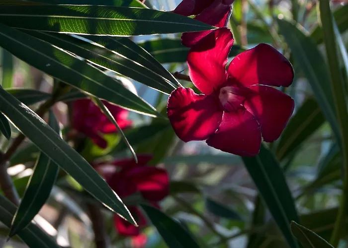 Il Grifo - Cozy House, Wonderful View Appartement *