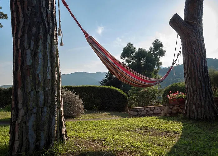 Il Grifo - Cozy House, Wonderful View