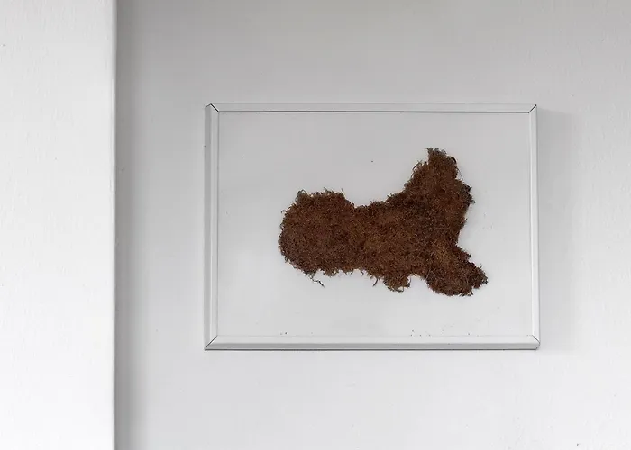 Il Grifo - Cozy House, Wonderful View