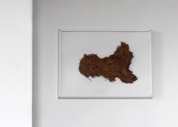 Il Grifo - Cozy House, Wonderful View