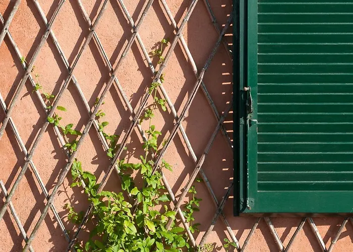 Il Grifo - Cozy House, Wonderful View