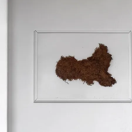 Il Grifo - Cozy House, Wonderful View